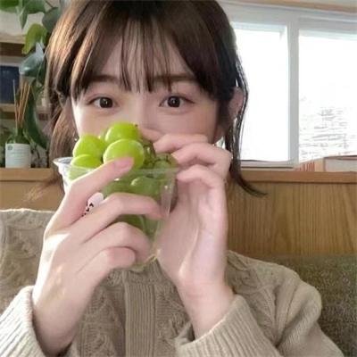 森林守护队