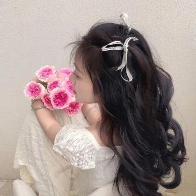 安娜波里斯传奇