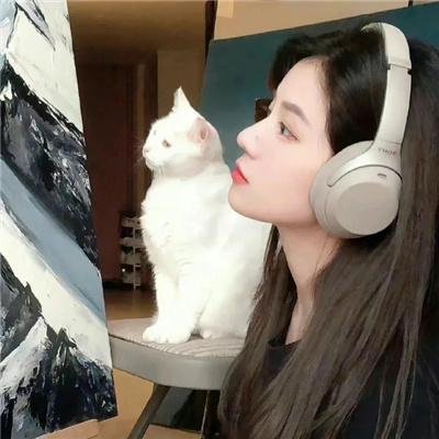 我可爱的宾杜